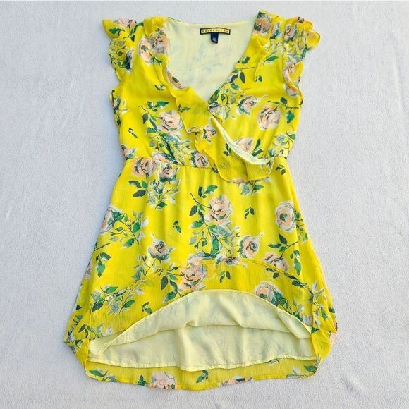 Aeropostale Prince and Fox Ruffled Floral Dress - Picture 5 of 12